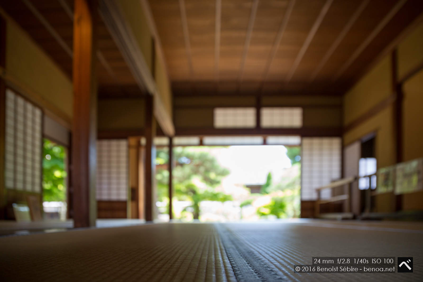 Japanese House in Summer-02