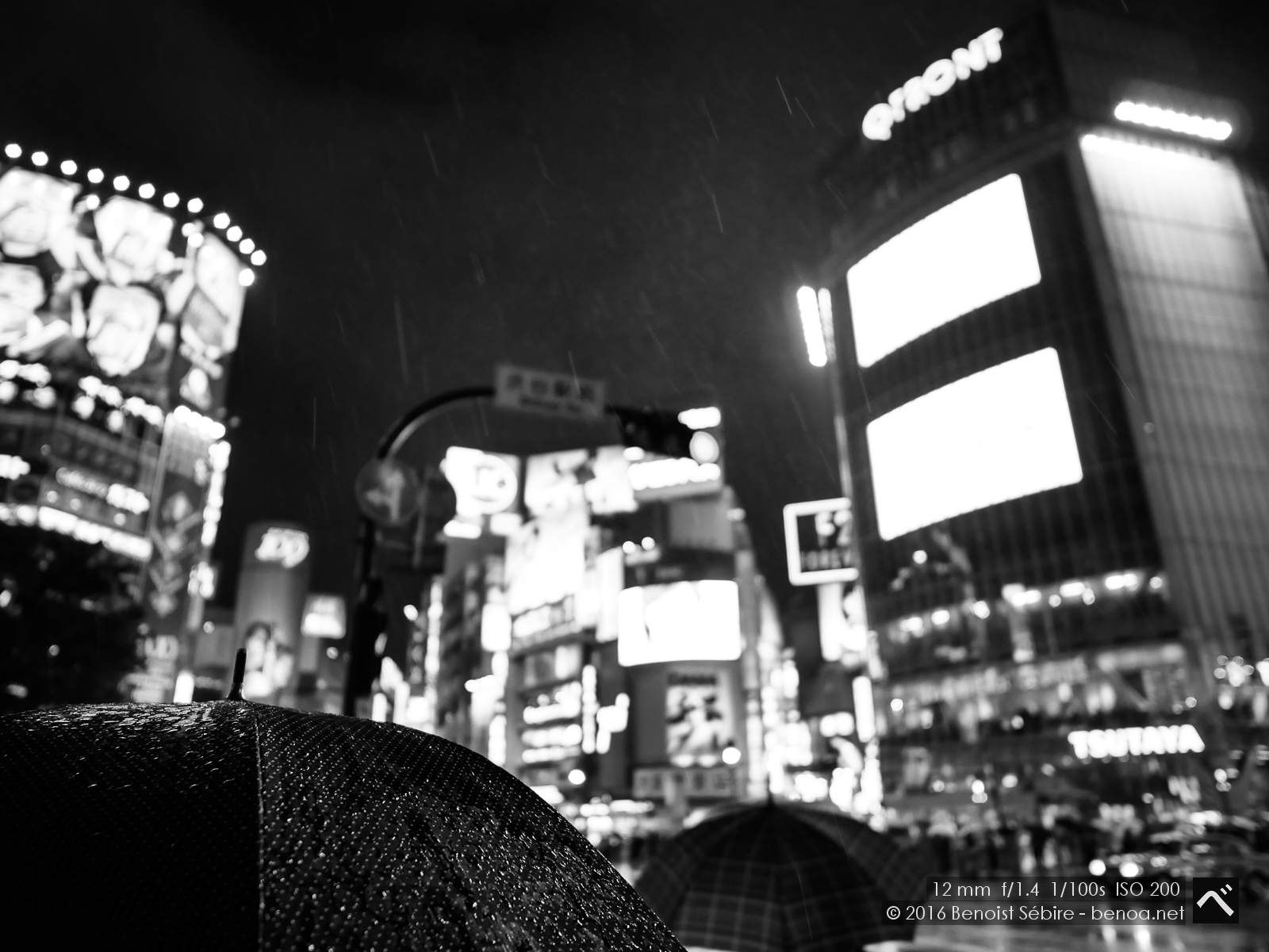 shibuya-crossing-01