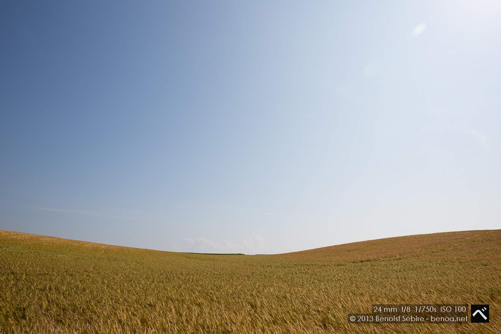 wheatscape-30